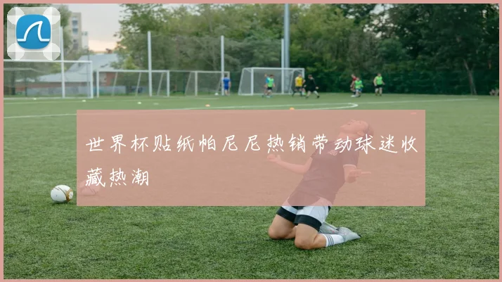 世界杯贴纸帕尼尼热销带动球迷收藏热潮