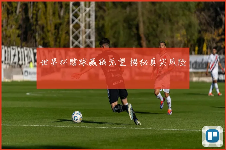 世界杯赌球赢钱无望 揭秘真实风险