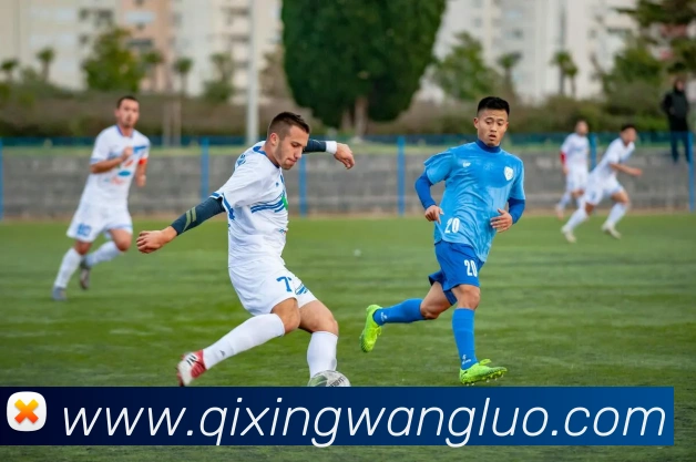 卡卡世界杯赛场染红离场关键战局受阻成巴西晋级隐忧